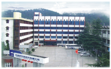 十堰东森汽车密封件