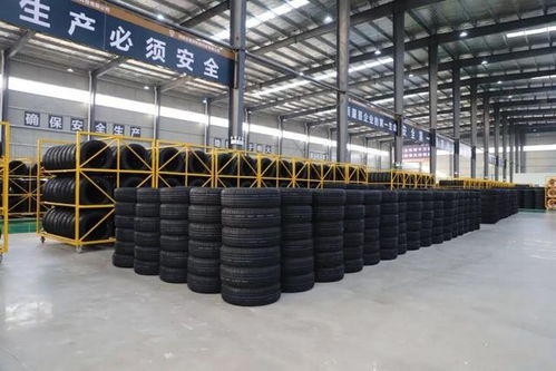 长城共享 安全轮胎的缔造者 中橡狼牌 轮胎未来